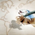 viajar con animales