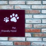 Consejos para hospedajes con compañeros peludos