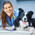 Conofite para perros - Para qué sirve y efectos secundarios