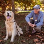 Consideraciones cruciales para adultos mayores antes de adoptar un perro como mascota