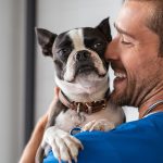 Milpro para perros - Dosis, usos y frecuencia