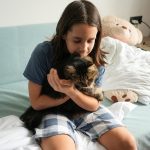 Las razas de gatos más cariñosos