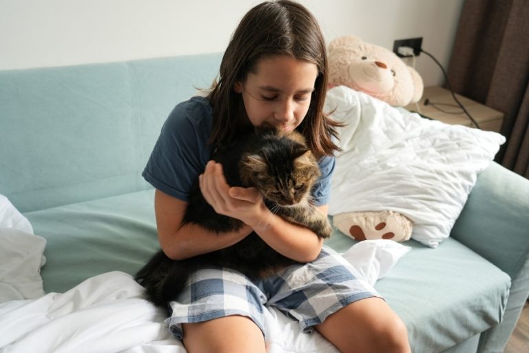 Las razas de gatos más cariñosos