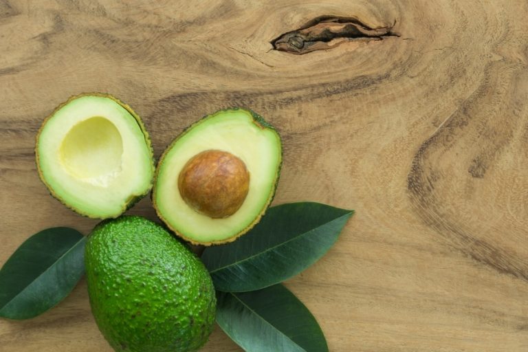 ¿El aguacate es malo para los perros?